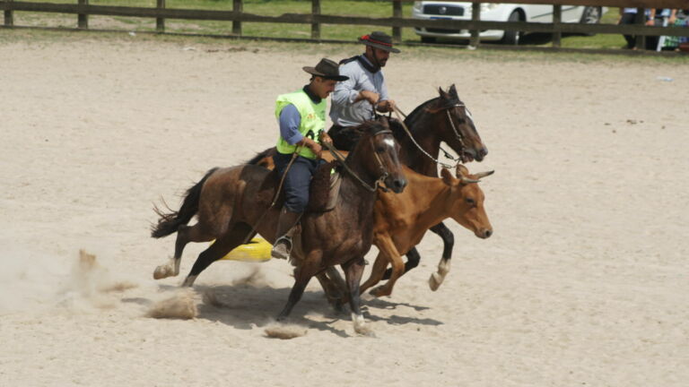 51ª Expofeira do Rio Grande inicia nesta quinta-feira com programação gratuita e shows regionais