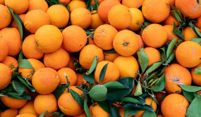 Seis pessoas são condenadas por contrabando de 20 toneladas de laranja do Uruguai