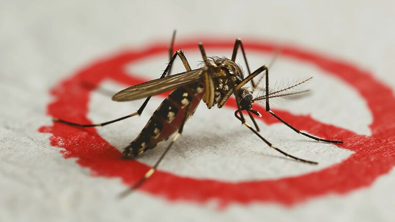 SRAG já registra 13 mortes em Rio Grande e baixa vacinação preocupa autoridades