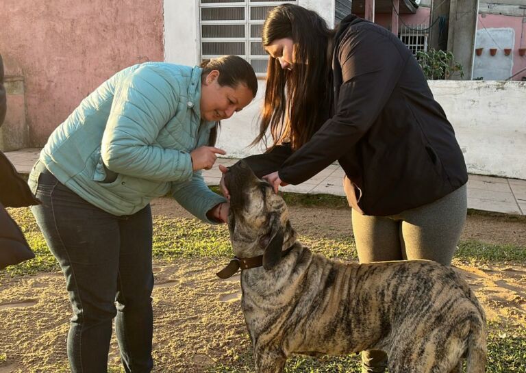 Castramóvel chega ao Taim com ação gratuita de castração de animais
