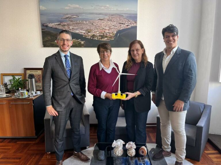 Empresa japonesa apresenta avanços do projeto de energia eólica offshore no Rio Grande